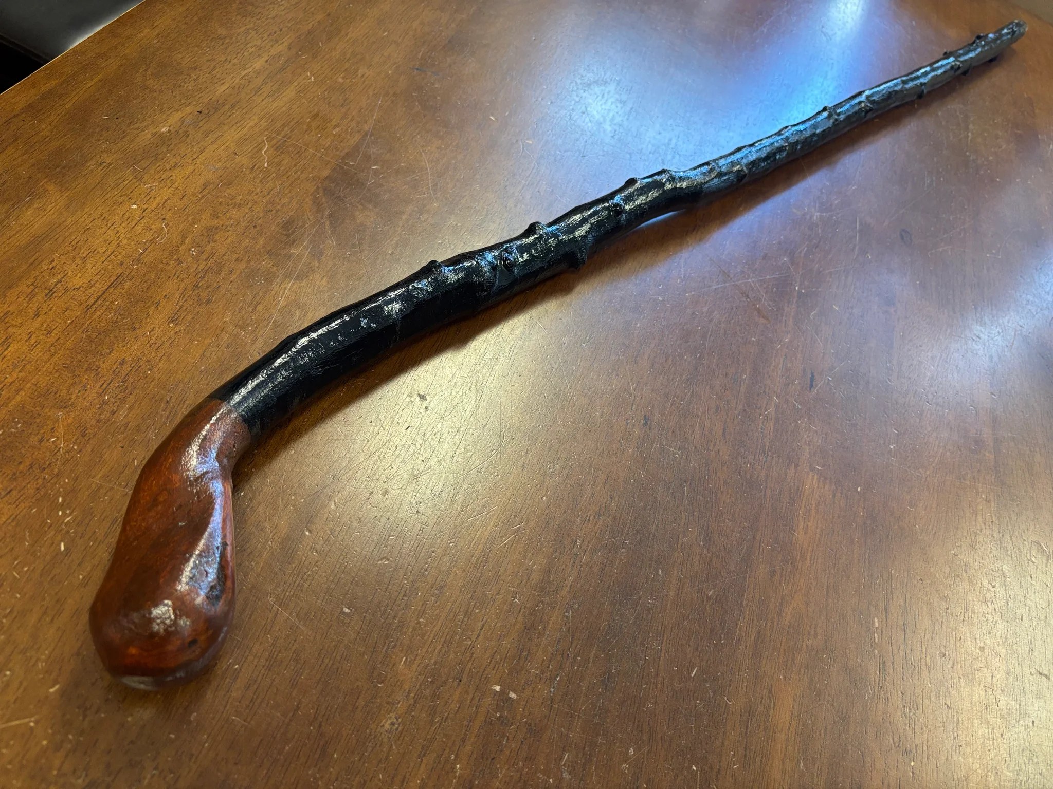 A long, dark blackthorn walking stick on a clean wood floor, the trimmed thorn-nubs visible along the shaft, a leather strap looped at the head, and the gentle taper of the trunk visible from knob to ferrule.