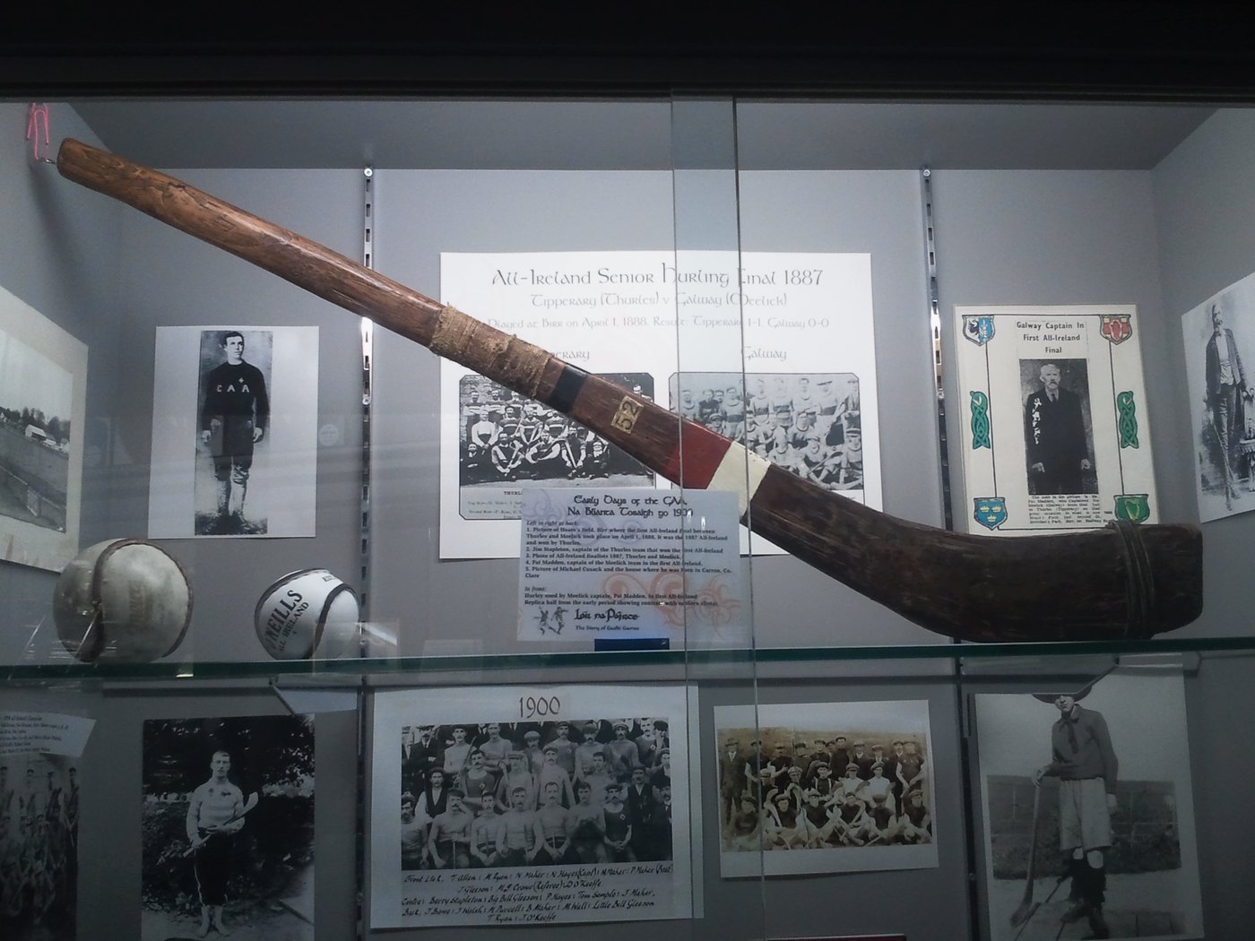 A historic ash hurley — the camán of Irish hurling — preserved as part of the Lár na Páirce GAA museum collection in Thurles, photographed lying flat against a museum display surface, with the broad curved blade and the long handle of a single piece of ash.